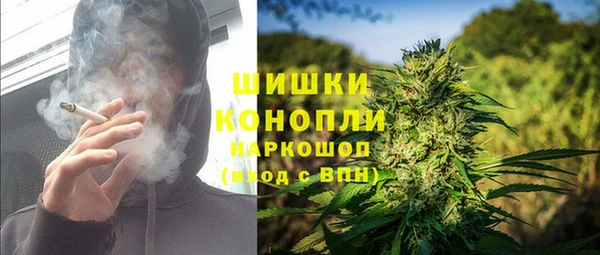 сатива Билибино