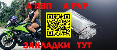дмт Гай