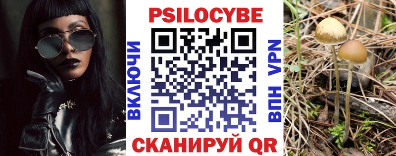 Псилоцибиновые грибы прущие грибы  Партизанск 